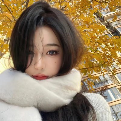 摩斯探长第五季